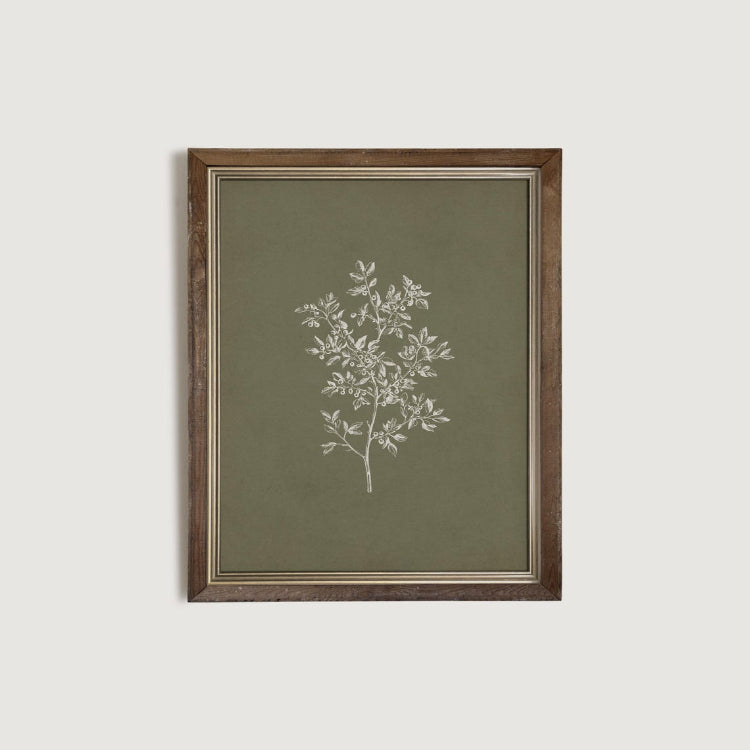 Olive Green Botanical Wall Art